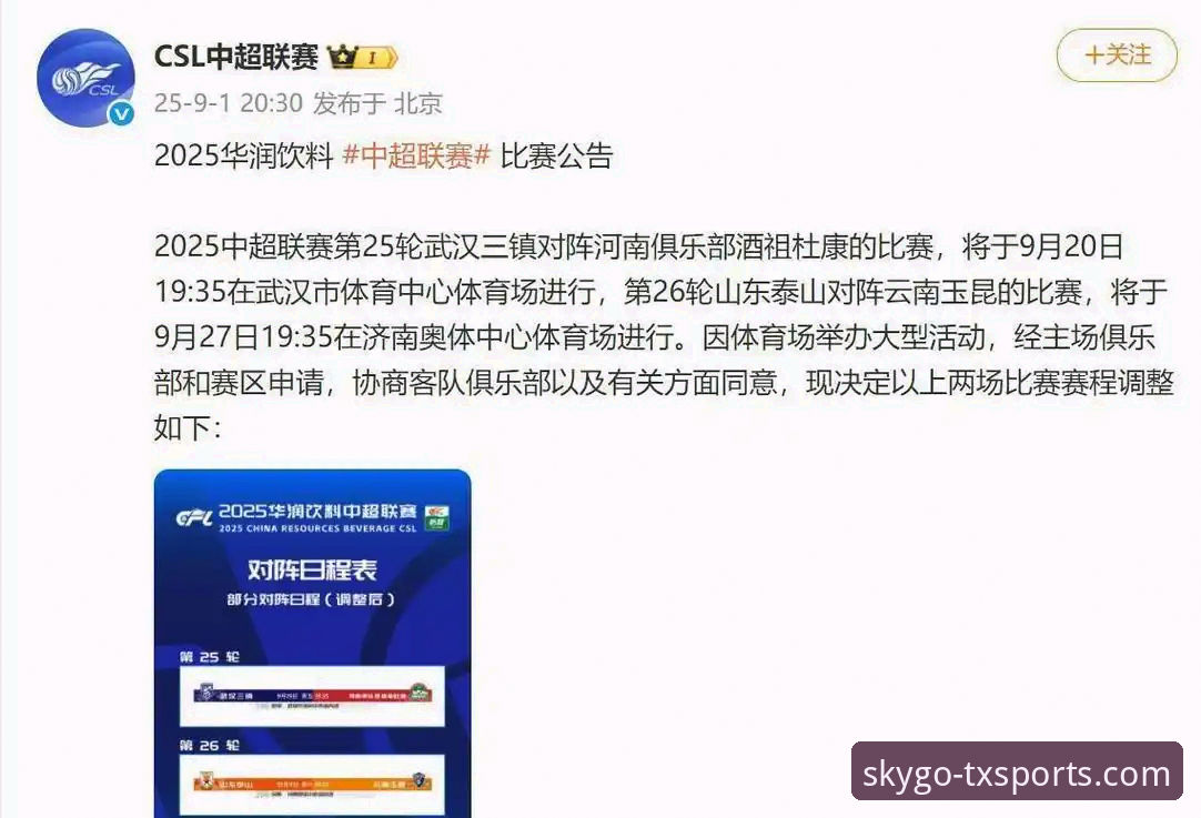 中超激战数据复盘实用指南——从玉昆3-3国安看赛事分析工具的必要性